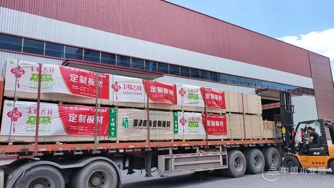 拓宽品牌新边界 丰收吉祥板材与中国木业网达成战略合作！(图5)