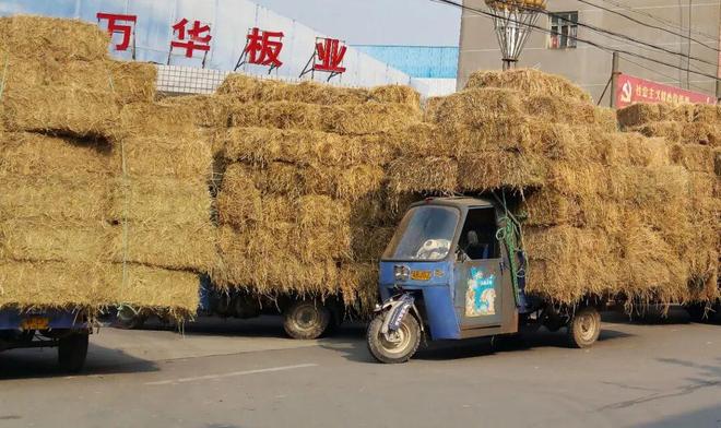 税务合规助力“小板材”育出生态大产业｜诚信纳税人 合规经营路(图3)