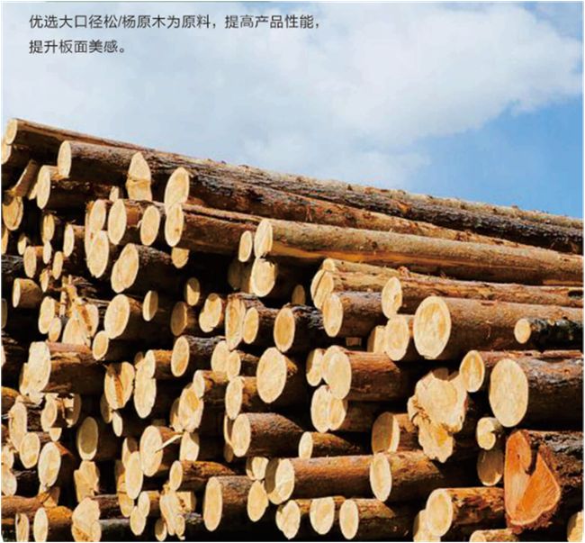 万年树丨抗变形实木 OSB 全维度升级定义家居板材新高度！(图3)