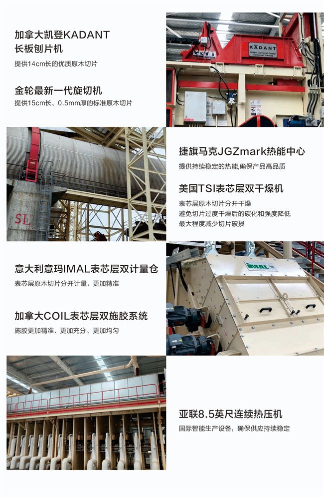 万年树丨抗变形实木 OSB 全维度升级定义家居板材新高度！(图6)