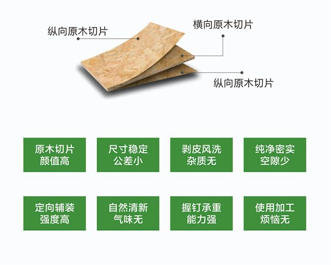 万年树丨抗变形实木 OSB 全维度升级定义家居板材新高度！(图13)
