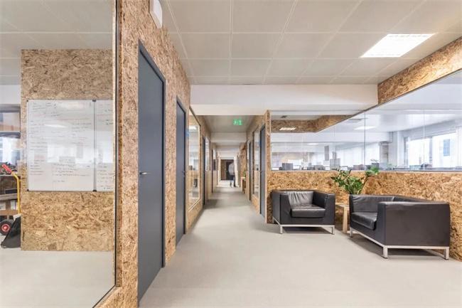 万年树丨抗变形实木 OSB 全维度升级定义家居板材新高度！(图17)