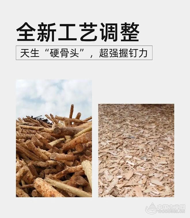 守自然本真 造人居之美 汇海亚森优质全松FOSB解锁基材新高度(图3)