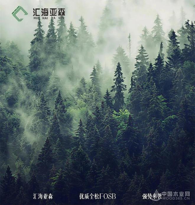 守自然本真 造人居之美 汇海亚森优质全松FOSB解锁基材新高度(图5)