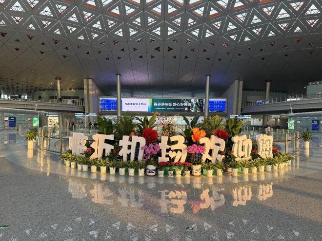 森谷净味板登陆临沂机场启幕全国品牌布局新征程