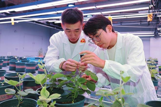 宿州市埇桥区:一座皖北城区 何以三度入围全国百强?(图2)