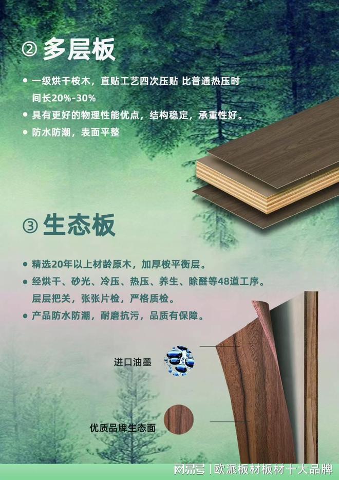 2026优质多层板十大品牌排名(图2)