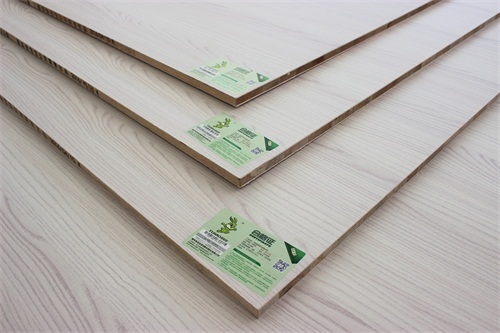 兔宝宝装饰材料2026经营研讨会：“家具厂渠道”专题会议召开