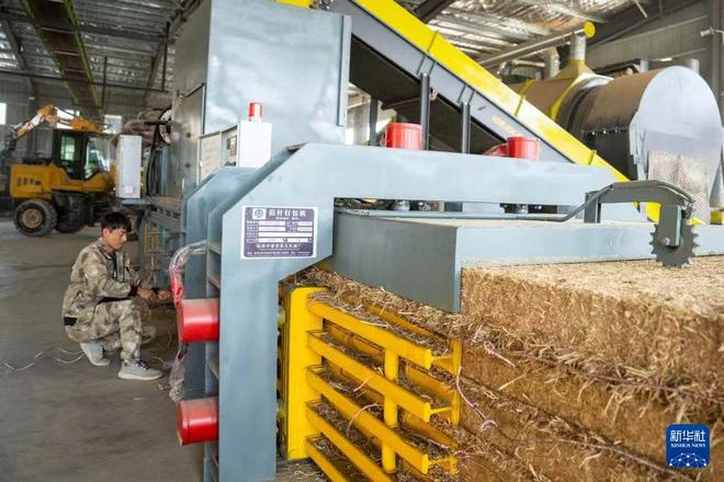 秸秆回收哪家强？专业公司大比拼选择不再难！(图2)