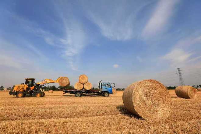 秸秆回收哪家强？专业公司大比拼选择不再难！