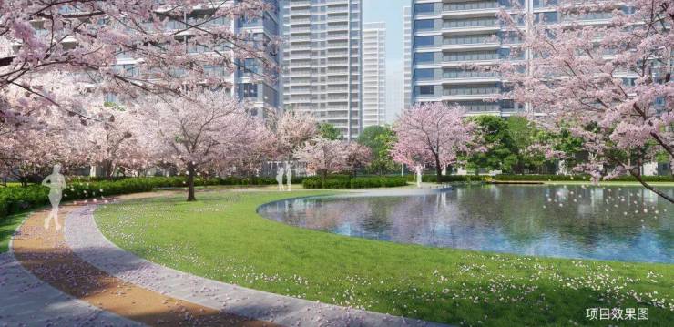 和风雅信-和风雅信：高铁新城日系精工大宅双500强联袂匠造限购放开抢占价值高地(图6)