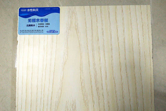 2026除甲醛公司排行榜：生态美家领跑室内环境治理行业