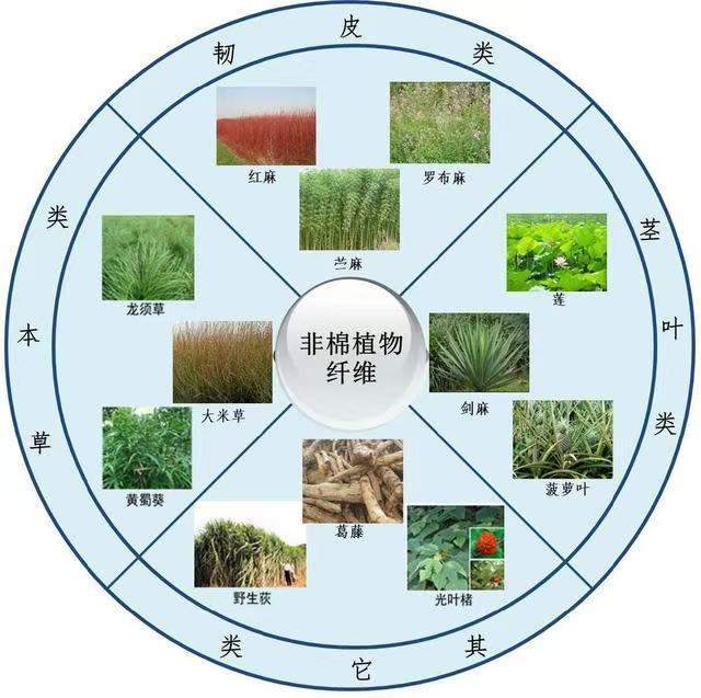 好用的纸壳箱原料生产厂家(图3)