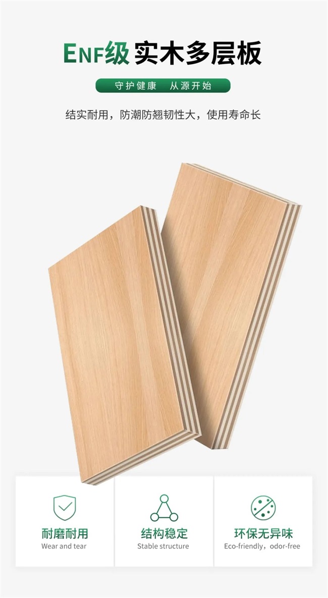 多猫家庭猫爬架哪家好？2026年2月设计+材质+功能全解析